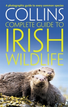 Collins Complete Irish Wildlife : Introduction by Derek Mooney, Paperback / softback Book Collins Complete Irish Wildlife : Introduction by Derek Mooney, Paperback / softback Book
