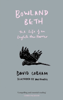Bowland Beth : The Life of an English Hen Harrier, Hardback Book Bowland Beth : The Life of an English Hen Harrier, Hardback Book