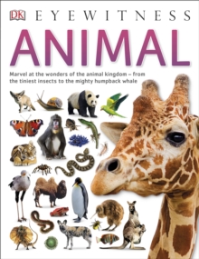 Animal, Paperback Book Animal, Paperback Book