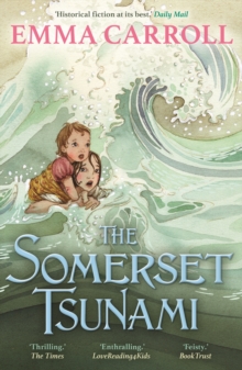 The Somerset Tsunami, Paperback / softback Book The Somerset Tsunami, Paperback / softback Book
