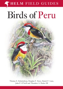 Birds of Peru, Paperback / softback Book Birds of Peru, Paperback / softback Book