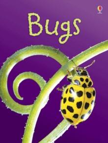 Bugs, Hardback Book Bugs, Hardback Book