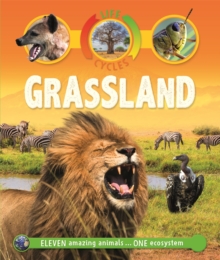 Life Cycles: Grassland, Paperback / softback Book Life Cycles: Grassland, Paperback / softback Book