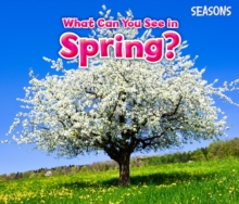 What Can You See In Spring?, Paperback / softback Book What Can You See In Spring?, Paperback / softback Book