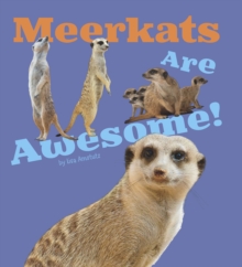 Meerkats Are Awesome!, Paperback / softback Book Meerkats Are Awesome!, Paperback / softback Book