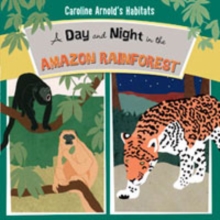 A Day and Night in the Amazon Rainforest, Paperback / softback Book A Day and Night in the Amazon Rainforest, Paperback / softback Book