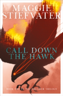 Call Down the Hawk, Paperback / softback Book Call Down the Hawk, Paperback / softback Book