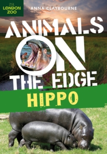 Hippo, Paperback / softback Book Hippo, Paperback / softback Book
