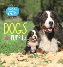 Animals and their Babies: Dogs & puppies, Paperback / softback Book Animals and their Babies: Dogs & puppies, Paperback / softback Book