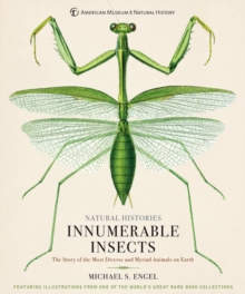 Innumerable Insects : The Story of the Most Diverse and Myriad Animals on Earth, Hardback Book Innumerable Insects : The Story of the Most Diverse and Myriad Animals on Earth, Hardback Book