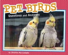 Pet Birds : Questions and Answers, Hardback Book Pet Birds : Questions and Answers, Hardback Book