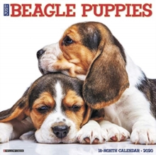 Just Beagle Puppies 2020 Wall Calendar (Dog Breed Calendar), Calendar Book Just Beagle Puppies 2020 Wall Calendar (Dog Breed Calendar), Calendar Book