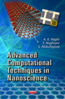 Advanced Computational Techniques in Nanoscience, Paperback / softback Book Advanced Computational Techniques in Nanoscience, Paperback / softback Book
