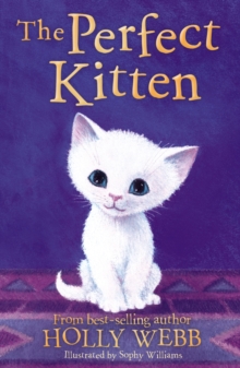 The Perfect Kitten, Paperback / softback Book The Perfect Kitten, Paperback / softback Book