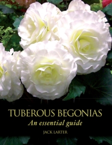 Tuberous Begonias : An Essential Guide, Hardback Book Tuberous Begonias : An Essential Guide, Hardback Book