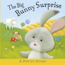 The Big Bunny Surprise, Hardback Book The Big Bunny Surprise, Hardback Book