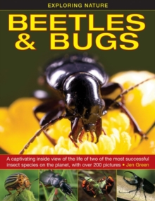 Exploring Nature: Beetles & Bugs, Hardback Book Exploring Nature: Beetles & Bugs, Hardback Book