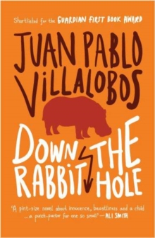 Down the Rabbit Hole, Paperback / softback Book Down the Rabbit Hole, Paperback / softback Book
