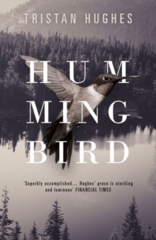 Hummingbird, Hardback Book Hummingbird, Hardback Book