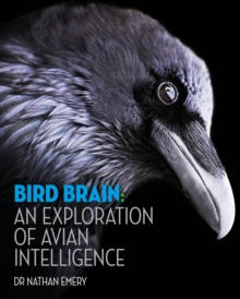 Bird Brain An Exploration Of Avian Intelligence Nathan